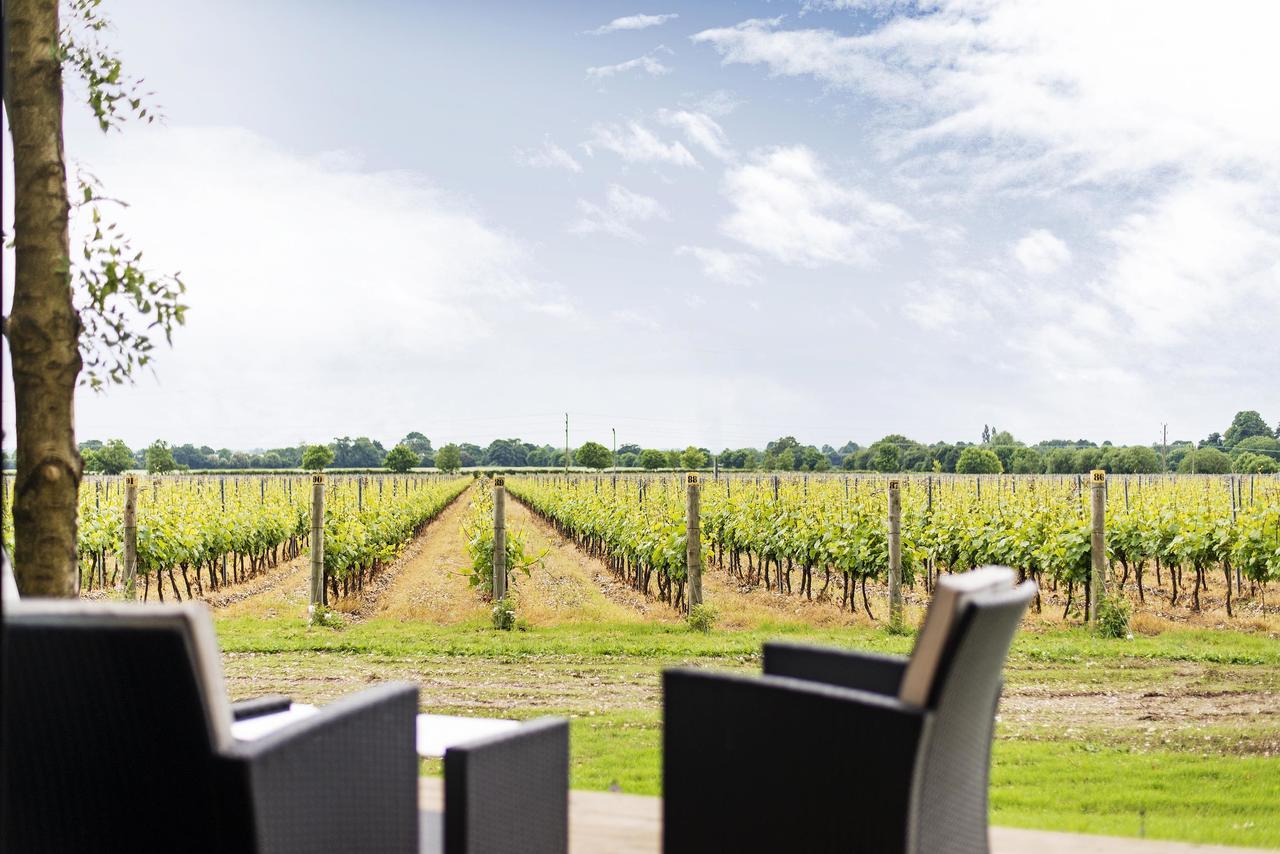 Tinwood Estate Vineyard Lodges Chichester Bagian luar foto